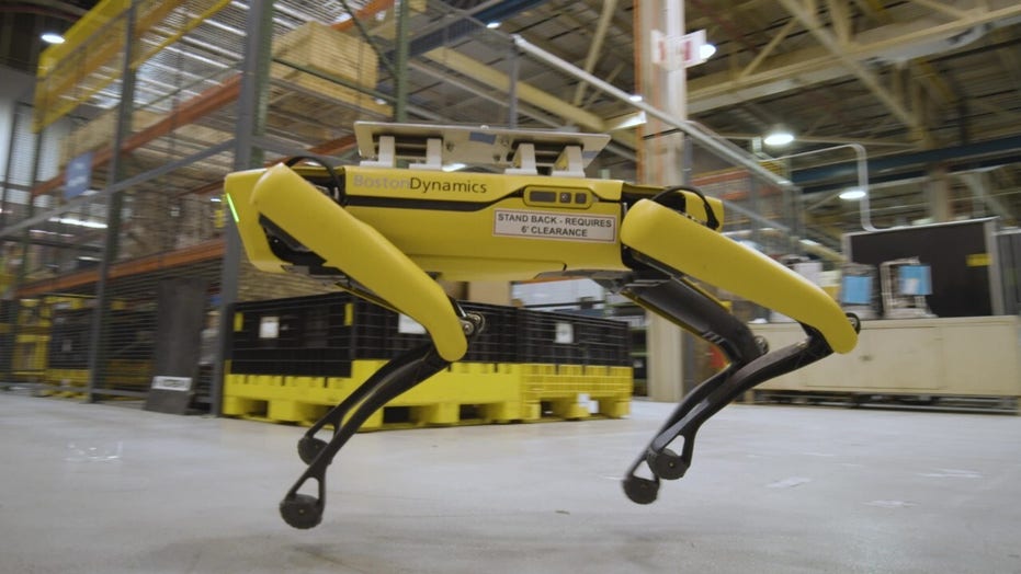 ford robot dog