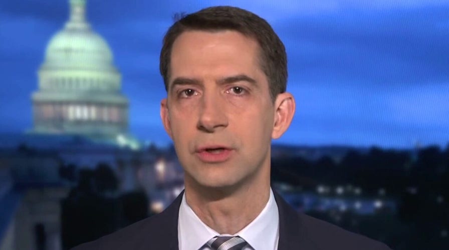 Sen. Tom Cotton: Stimulus bill breakdown shows ‘the swamp’ is looking after itself