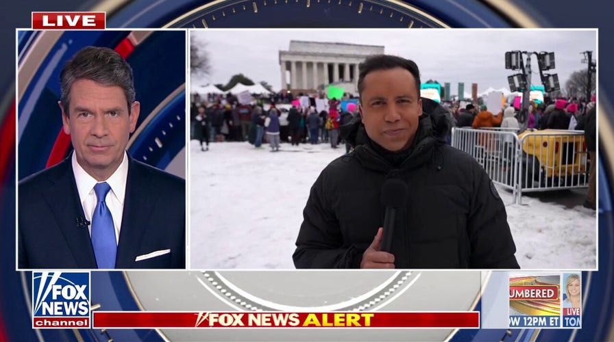 Crowds gather in Washington to protest inauguration 