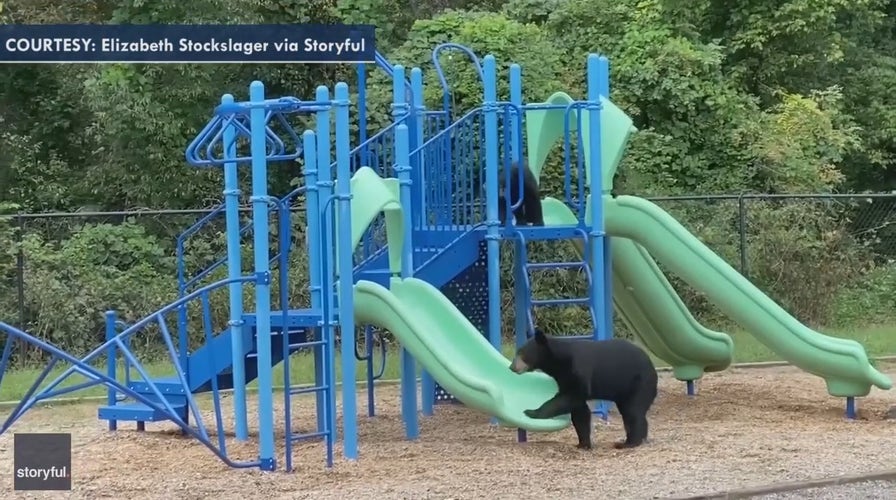 Mother bear, cubs play on North Carolina school playground