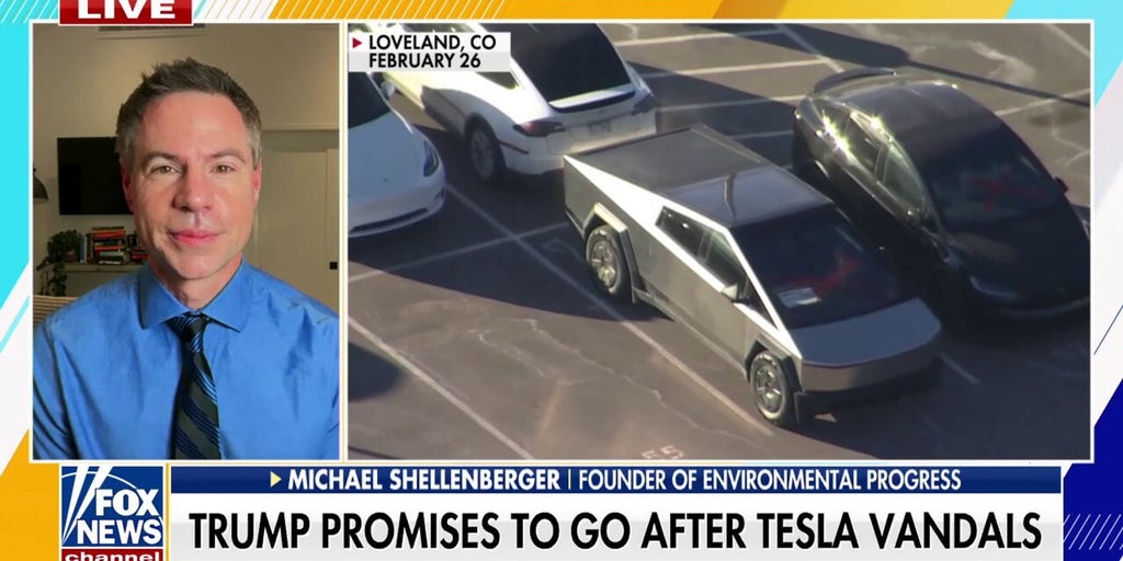 Environmental Progress founder rips Tesla vandals: 'Democrats are really lost'