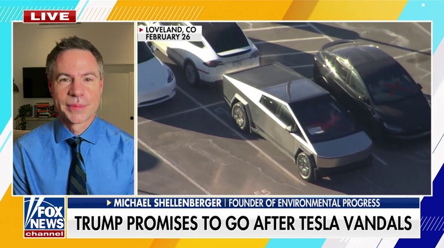Environmental Progress founder rips Tesla vandals: 'Democrats are really lost'