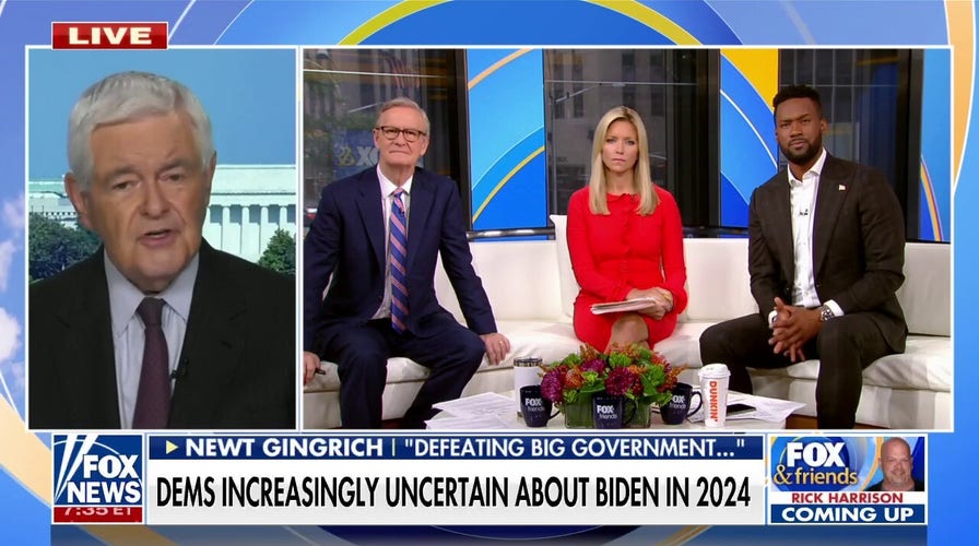 Gingrich: What Pelosi, Schumer have done is unimaginable