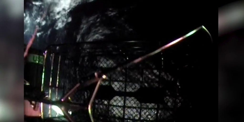 Coast Guard makes daring rescue off Texas | Fox News Video