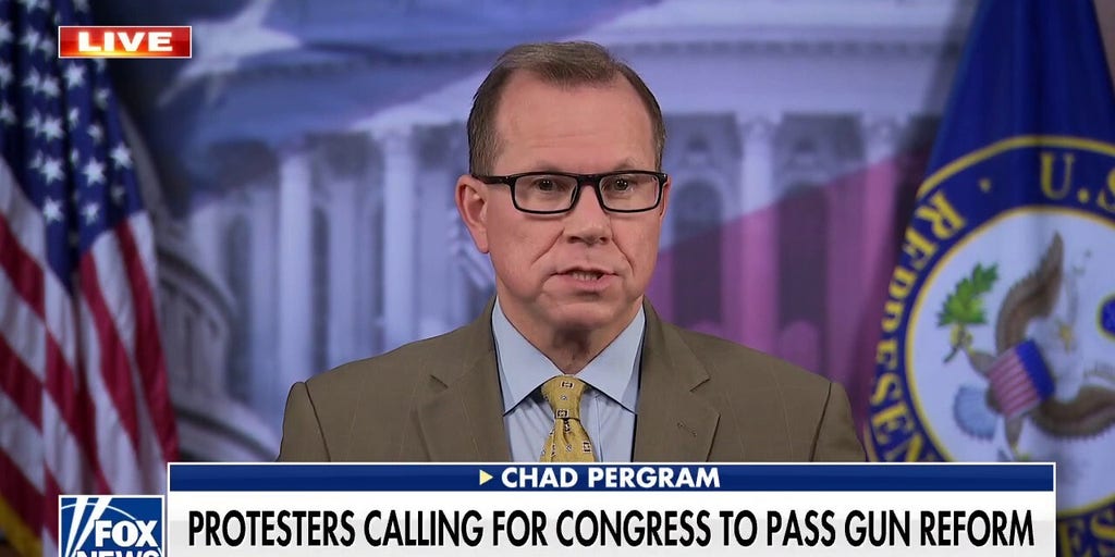 House Gun Bill Not Expected To Pass The Senate: Pergram | Fox News Video