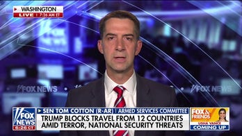 Sen. Cotton praises Trump's 'badly needed and long overdue' travel ban: 'Common sense victory'