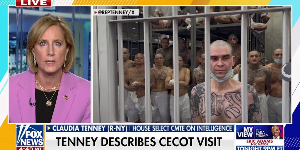 Lawmaker recalls El Salvador prison tour amid MS-13 deportation debate