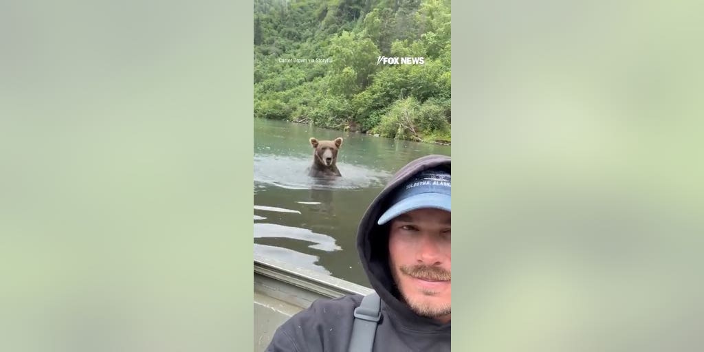 Fisherman remains incredibly calm as grizzly bear fishes behind him