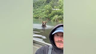 Fisherman remains incredibly calm as grizzly bear fishes behind him