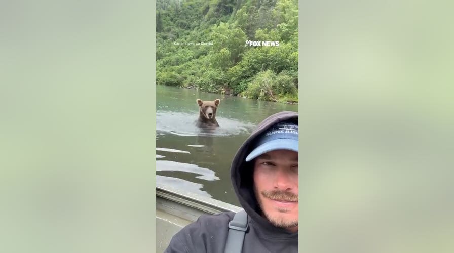 Fisherman remains incredibly calm as grizzly bear fishes behind him