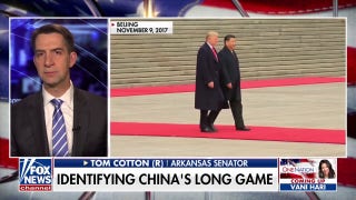 China has been 'waging' a trade war with the US for decades: Sen. Tom Cotton - Fox News
