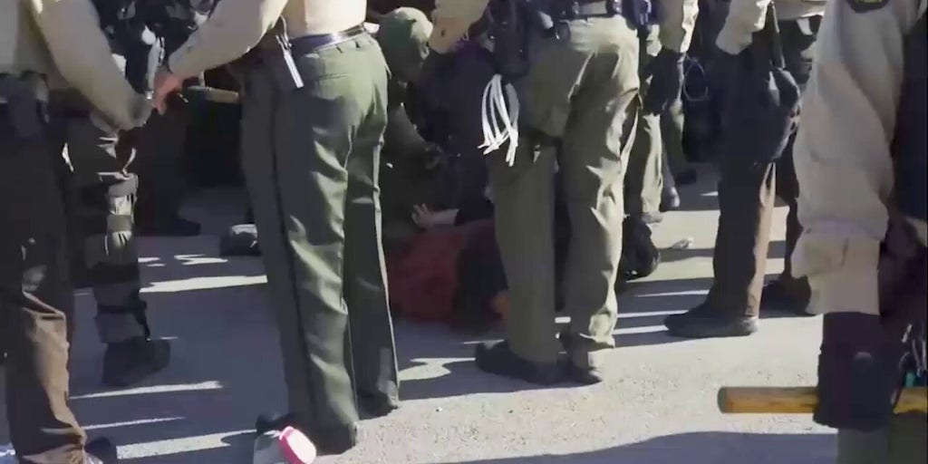 Anti-immigration protesters clash with law enforcement in Chicago; multiple arrests made