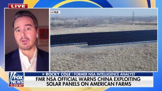 Former NSA official sounds alarm on China targeting US power grid