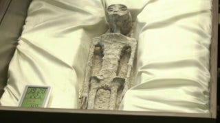 Alleged non-human corpses shown at UFO hearing in Mexico - Fox News
