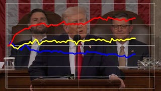 Trump's 'war on fraud' draws range of reactions during SOTU speech