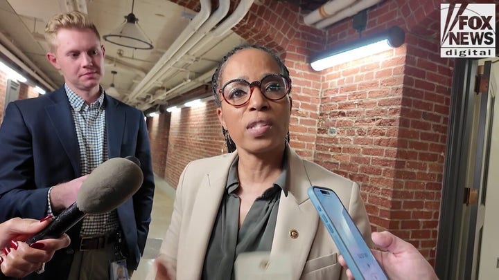 Dems attempt to explain why stock market is booming despite Trump tariffs