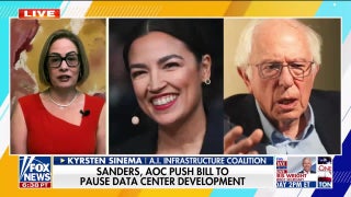 Kyrsten Sinema: Growth in psychedelic research is a ‘game changer’ for veterans