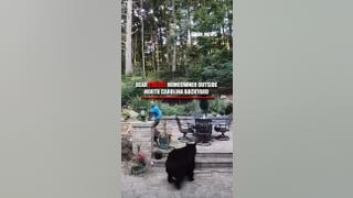 Bear CHASES homeowner through North Carolina backyard