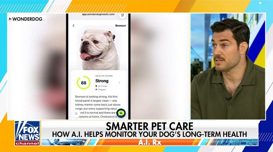 AI helps detect dog diseases before symptoms appear