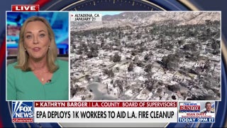 LA county official vows to 'cut red tape' to speed recovery, cleanup process - Fox News