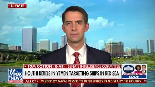 Military response to Red Sea attacks is ‘long overdue’: Sen. Tom Cotton - Fox News