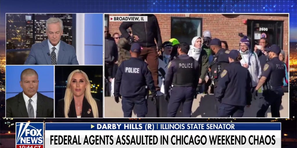 We need to 'work with federal law enforcement' to remove violent criminals: Sen. Darby Hills | Fox News Video