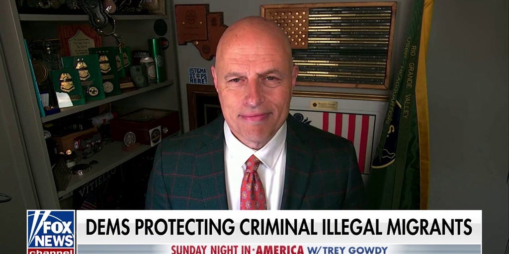 DHS is going after the 'worst of the worst,' CBP senior advisor says