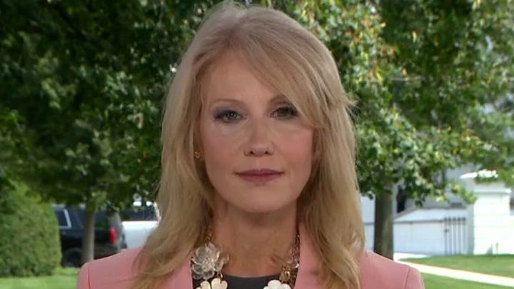 Kellyanne Conway weighs in on DNC, Trump’s pandemic response and previews RNC