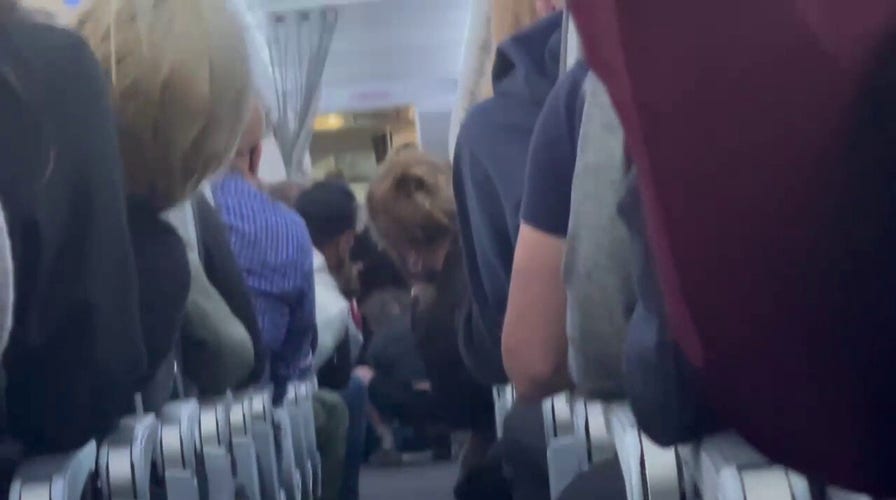 Unruly passenger subdued by passengers and flight attendants on American Airlines flight