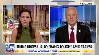  Peter Navarro: We are going to have the ‘biggest boom’ in the stock market we’ve ever seen - Fox News