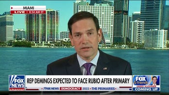Rubio rips Democrats as 'Marxist misfits,' says voters fleeing to red states due to 'common sense' policies