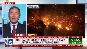 John Yoo explains prosecutor's challenge in California Palisades fire trial