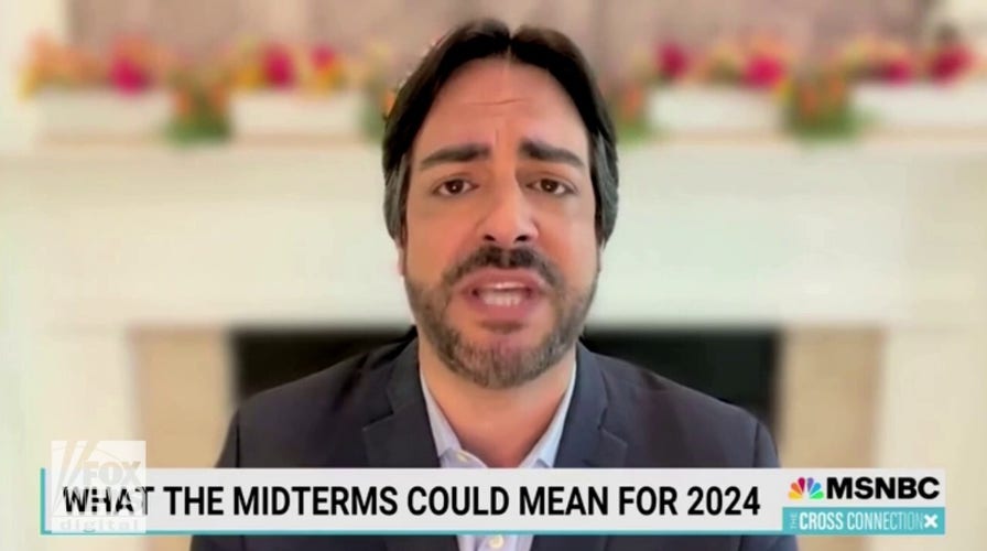MSNBC political strategist Fernand Amandi says if Dems lose midterm elections, they're "turning over democracy"