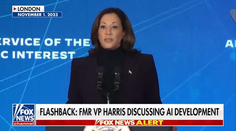 Democrats believe they can use AI dispute for 'more political power,' expert says