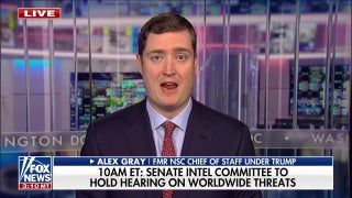 Alex Gray on US military success and NATO's 'foolish mistake' regarding Iran - Fox News