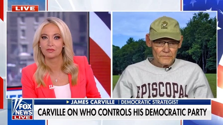 Socialist Florida Senate nominee causes concerns in Democratic Party