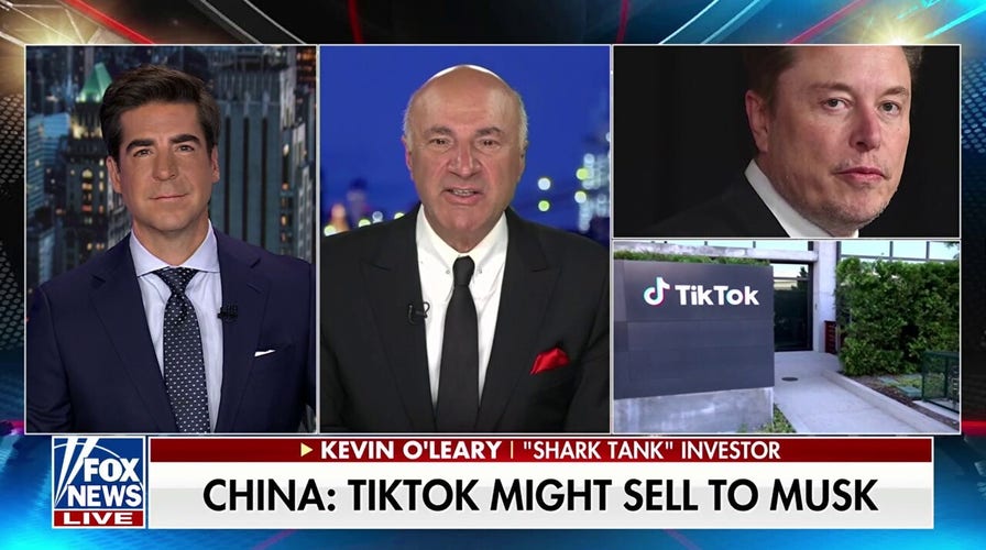 TikTok is 'Trump's deal,' says Kevin O'Leary