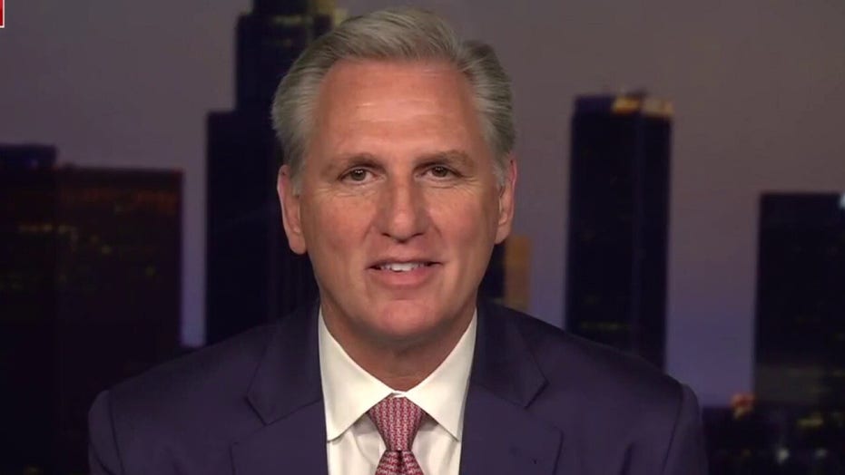 Kevin McCarthy shares shocking facts about fentanyl