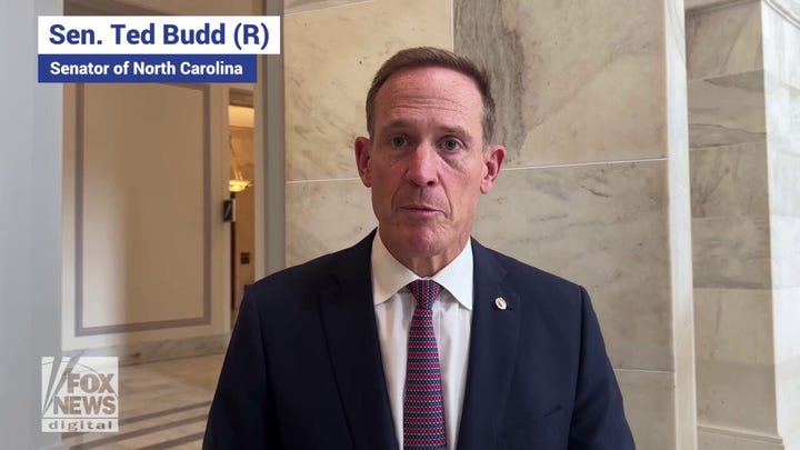 Senators spoke with Fox News Digital about President Biden's threat to withhold aid to Israel