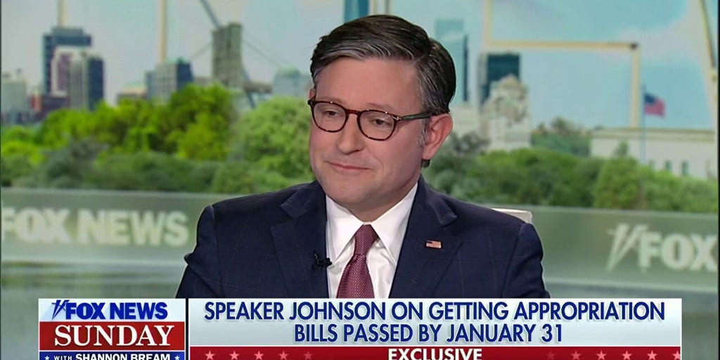 Speaker Johnson 'very optimistic' about passing appropriations bills by deadline