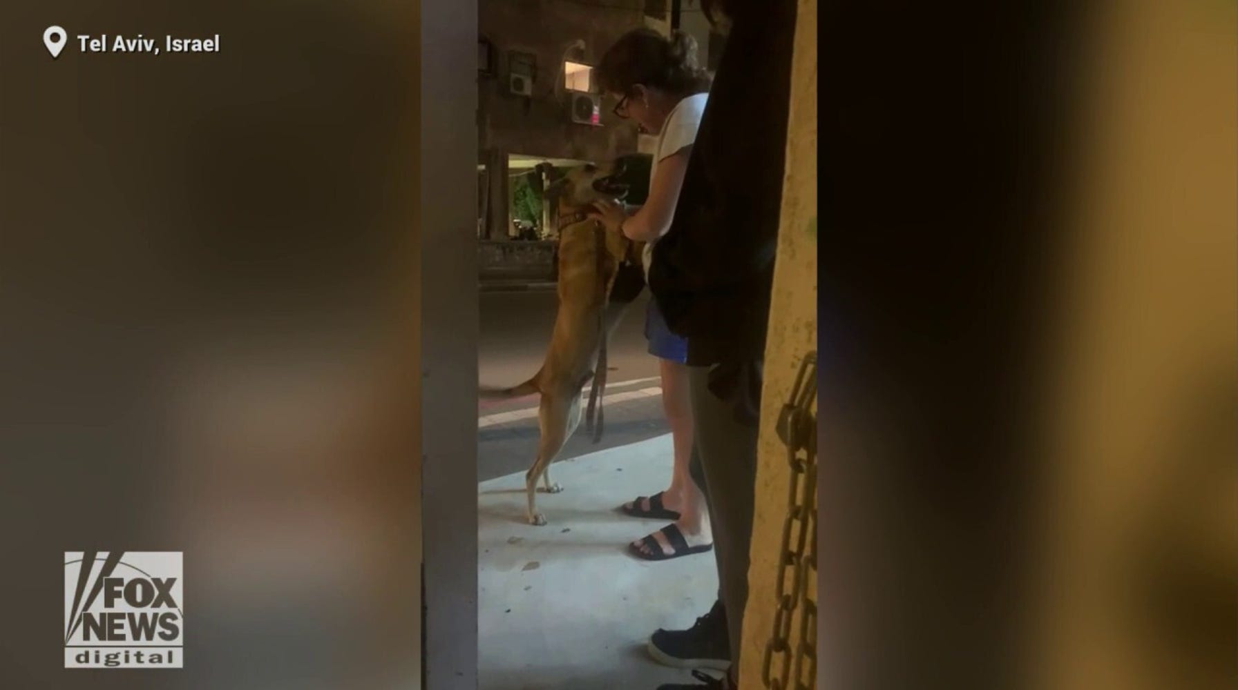 British-Israeli Woman Reunited with Dog, Brings Comfort to Hostage Families in Israel