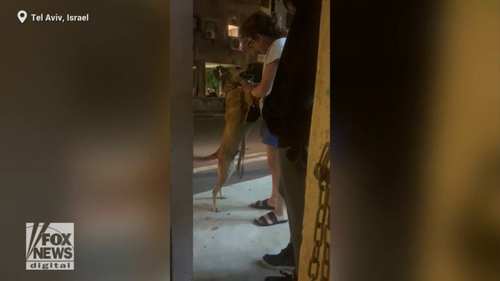 Woman and her dog reunited in Israel after 40 days of separation following the Oct. 7, 2023 terror attacks