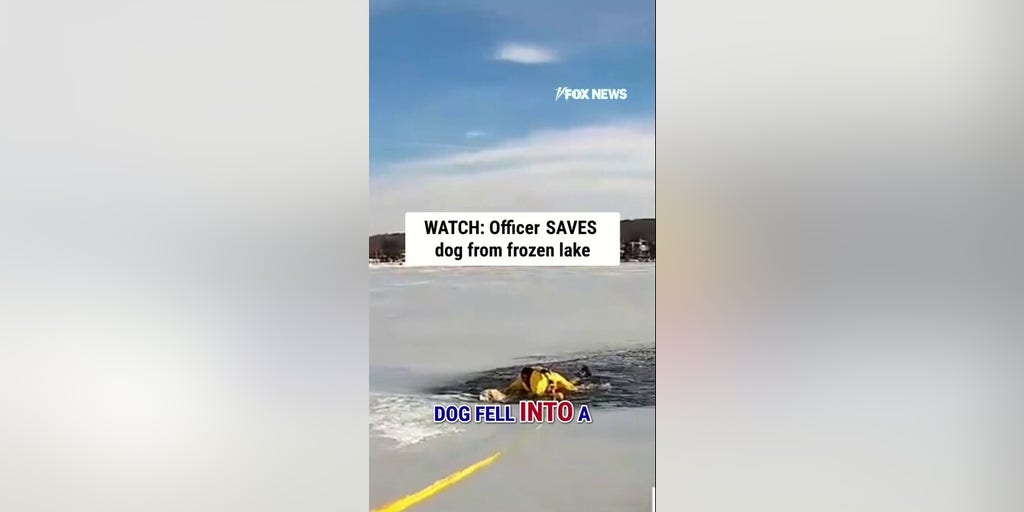 WATCH: Officer SAVES dog from frozen lake