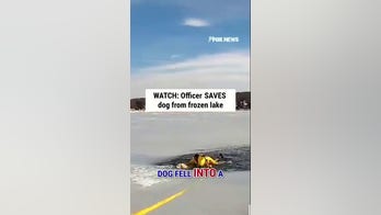 WATCH: Officer SAVES dog from frozen lake