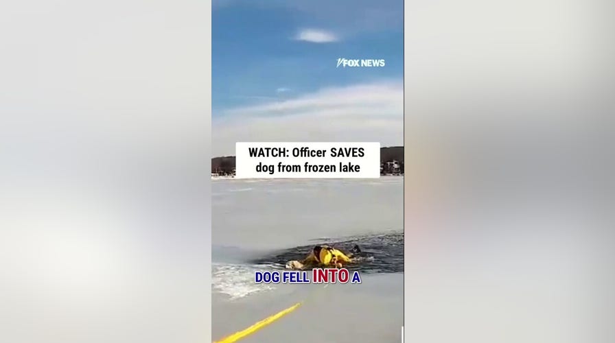 WATCH: Officer SAVES dog from frozen lake