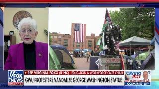 Violence, vandalism on US campuses is 'absolutely disgusting': Rep. Virginia Foxx - Fox News
