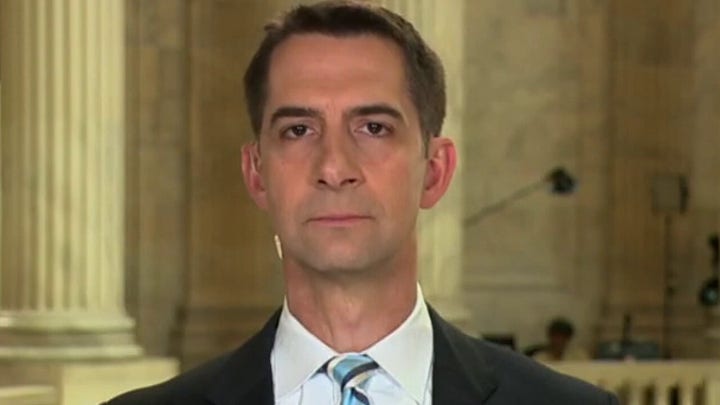 Disinformation board ‘paused’ because American people found out about it: Sen. Cotton