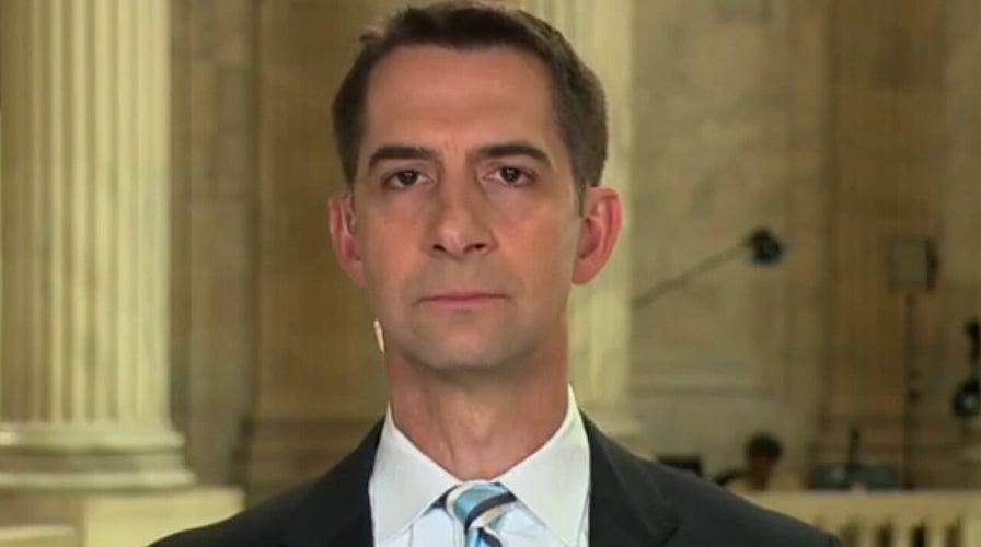 Disinformation board ‘paused’ because American people found out about it: Sen. Cotton