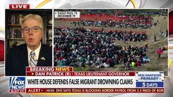 Texas Lt. Gov. Dan Patrick slams migrant surge as a 'catastrophe': Texas has 'had it'