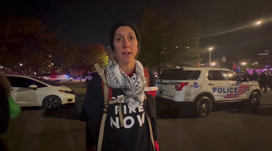 Pro-Palestinian demonstrator says protests are peaceful, police are acting 'violently'